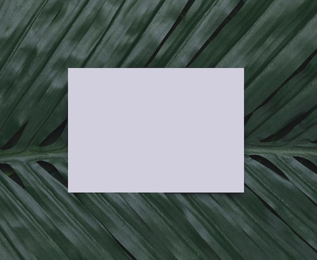 Бесплатное фото Белая бумага на тропическом листе копией пространства