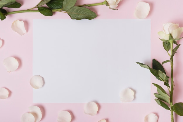 Бесплатное фото Белые лепестки и розы на бумаге на розовом фоне