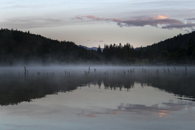 Бесплатное фото Удивительный снимок озера ферхензее в баварии, германия
