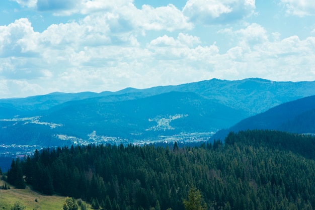 Бесплатное фото Вид сверху зеленых хвойных лесных деревьев над горой