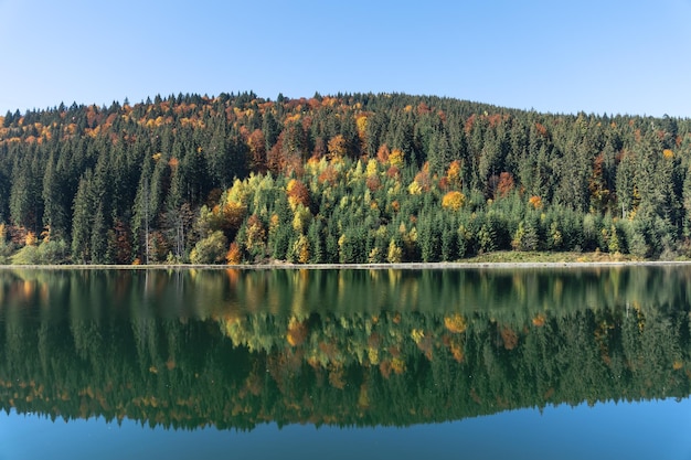 Бесплатное фото Осенний лес и озеро в горной местности на естественном фоне