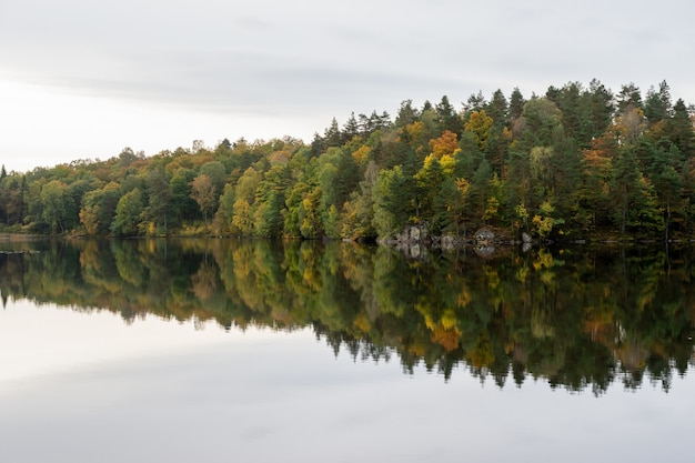 Бесплатное фото Осенний пейзаж у озера, деревья с осенними красками.