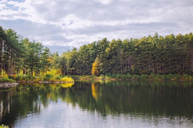 Бесплатное фото Красивое озеро в лесу с отражениями деревьев в воде и облачном небе