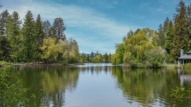 Бесплатное фото Красивый пейзажный снимок зеленого озера в окружении деревьев под мирным небом