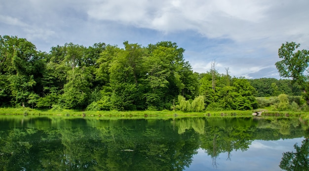 Бесплатное фото Красивая природа парка максимир в загребе отражается в воде