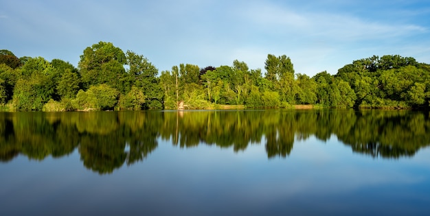 Бесплатное фото Красивый пейзаж озера с отражением окружающих зеленых деревьев