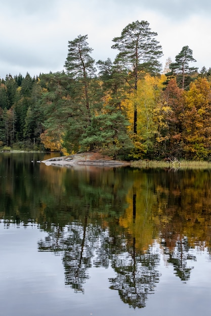 Бесплатное фото Красивые пейзажи ряда осенних деревьев, отражающихся в озере днем