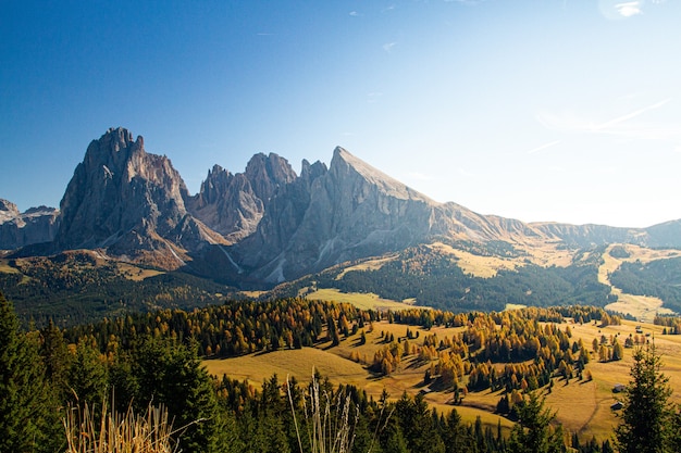 Free photo beautiful shot of the dolomite with mountains and trees under a blue sky in italy