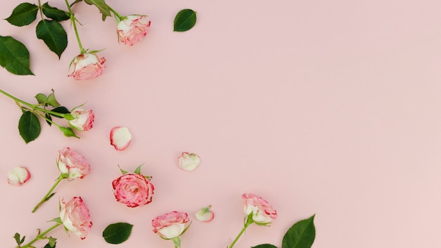 Бесплатное фото Красивая композиция роз