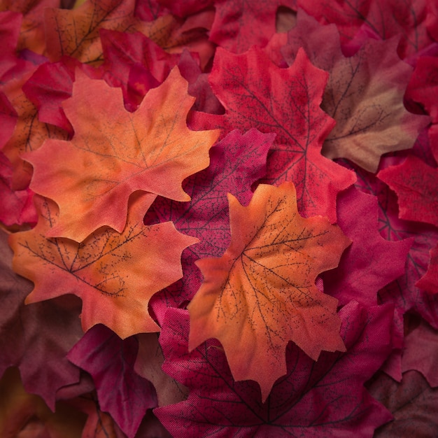 Красивые текстурированные осенние кленовые листья