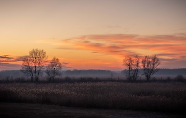 Бесплатное фото Прекрасный вид на поля с голыми деревьями во время заката
