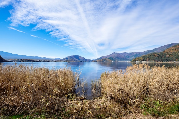 Бесплатное фото Голубое небо и трава на озере кавагутико, япония