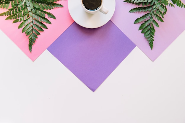 Бесплатное фото Кофе и экзотические листья на геометрическом фоне