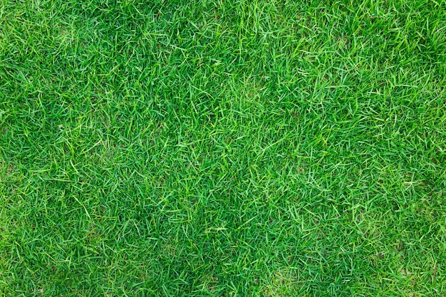 Бесплатное фото Крупным планом образ свежей весенней зеленой травы