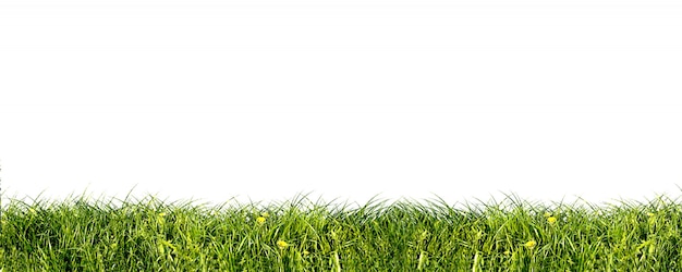 Бесплатное фото Крупным планом свежей травы