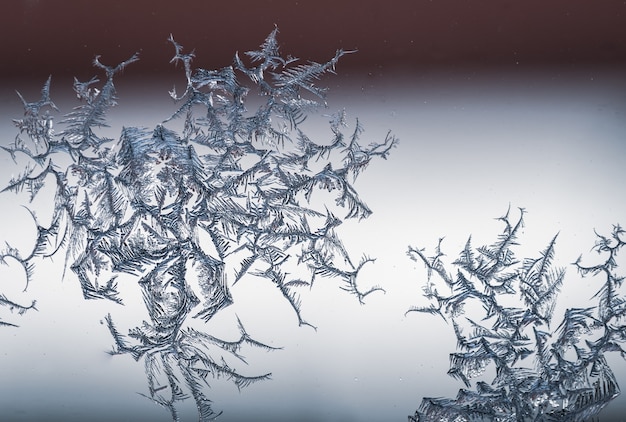 Бесплатное фото Снимок крупным планом снежинки на стекле от мороза