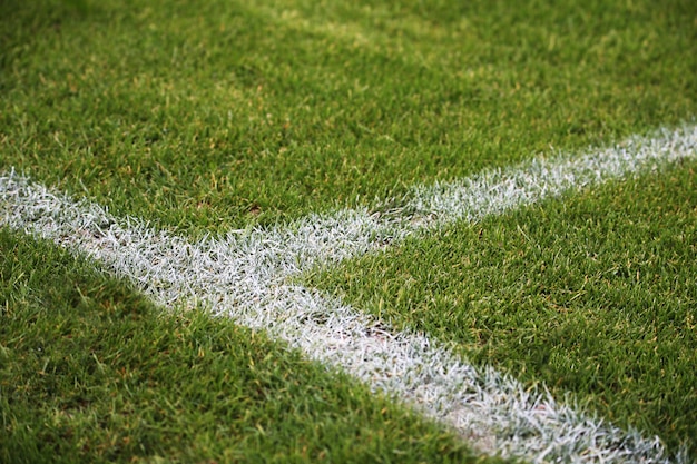 Бесплатное фото Макрофотография выстрел из окрашенных белых линий на зеленом футбольном поле в германии