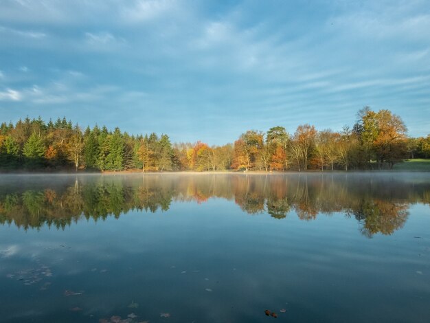 Чистое озеро с отражением деревьев и неба в прохладный весенний день