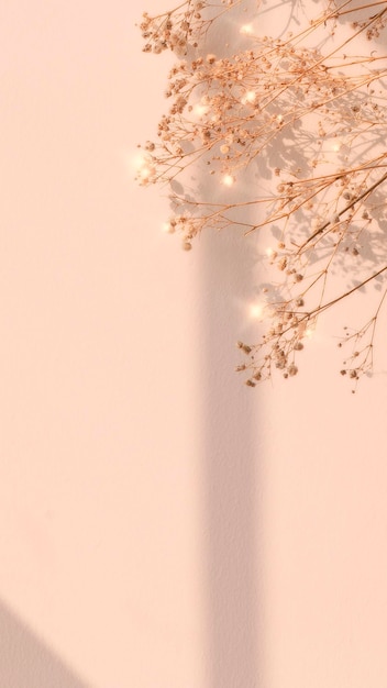 無料写真 ドライフラワーウィンドウシャドウ花の背景