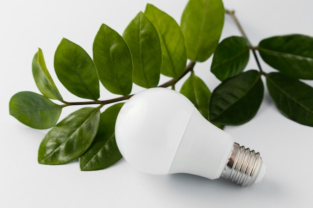 Foto gratuita lampadina a risparmio energetico sulla scrivania