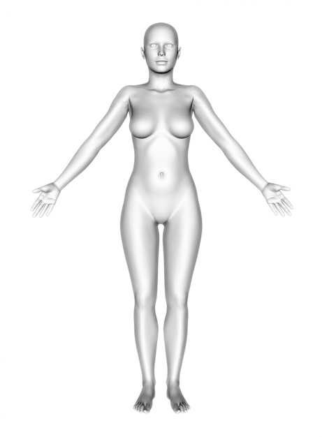 Бесплатное фото Женское тело