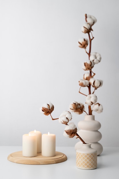 Бесплатное фото Пушистое хлопковое растение в вазе, используемое в декоре интерьера