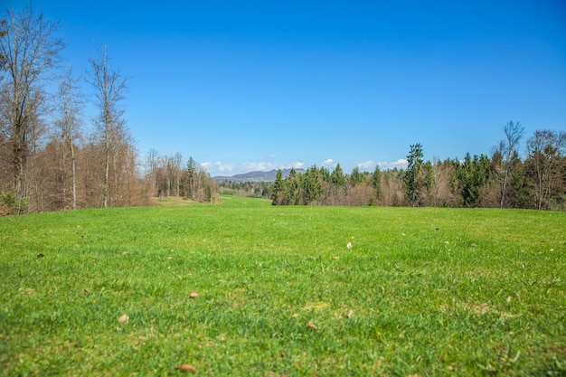 Бесплатное фото Поле для гольфа в оточеце, словения, в солнечный летний день