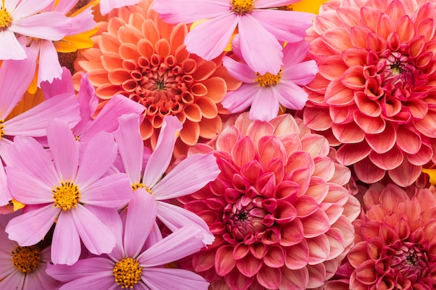 Free photo gorgeous arrangement of flowers wallpaper