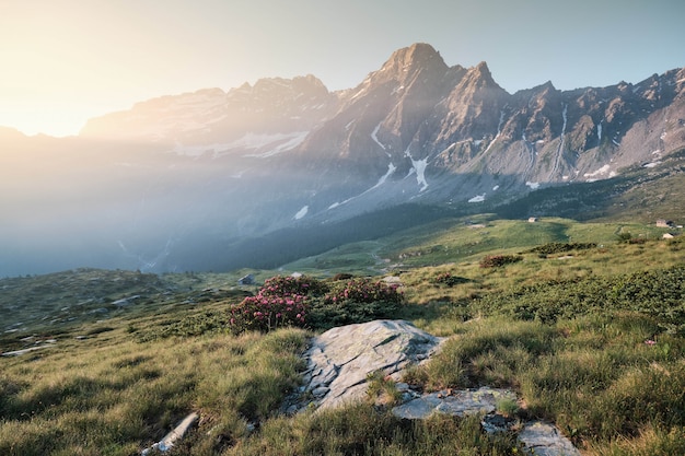 Бесплатное фото Травянистые холмы с цветами и горами