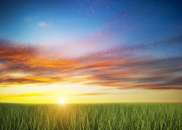Бесплатное фото Зеленое поле на закате