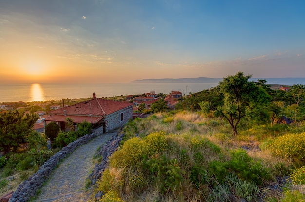 Free photo high angle shot of the houses by the trees under the sunset captured in lesbos, greece