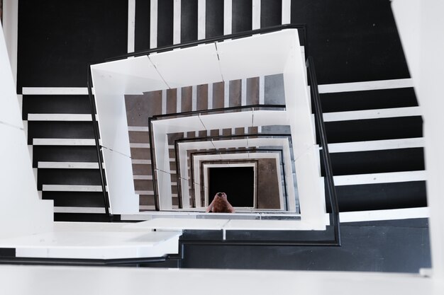 High angle shot of spiral staircases and a female taking a picture during daytime