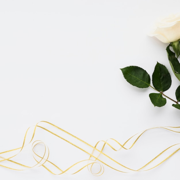 Бесплатное фото Высокий угол зрения белой розы и ленты на простом фоне