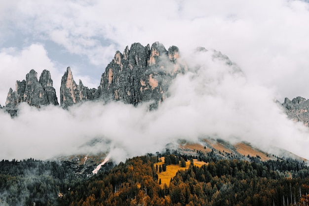 Бесплатное фото Пейзаж скал в окружении лесов, покрытых туманом под облачным небом