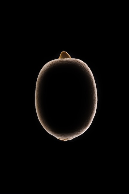 Бесплатное фото Контур лимона на черном