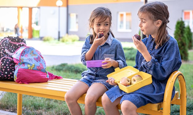 Маленькие школьницы сидят на скамейке в школьном дворе и едят из ланч-боксов.