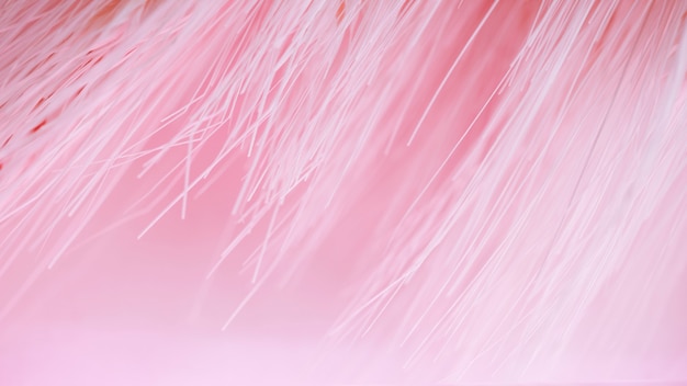 무료 사진 분홍색으로 된 많은 광섬유