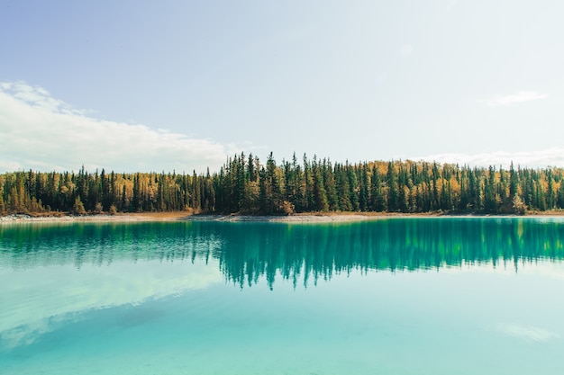 Бесплатное фото Завораживающий вид на озеро с отражением елей, гор и облачного неба.