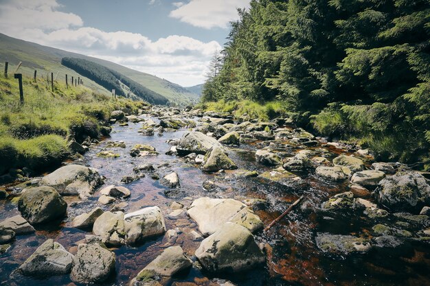 Бесплатное фото Завораживающие пейзажи ручья горы уиклоу