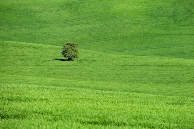 Бесплатное фото Моравская тоскана - красивый весенний пейзаж в южной моравии недалеко от города кийова. чешская республика - e