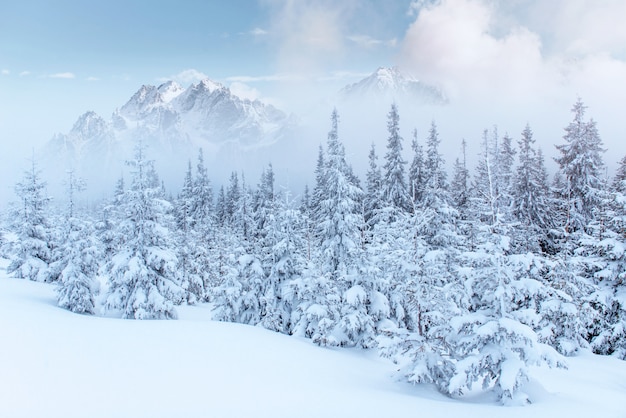 Free photo mysterious winter landscape majestic mountains in the winter.