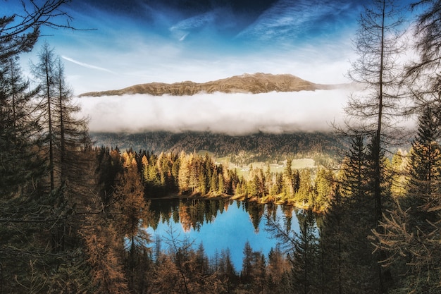 Бесплатное фото Сосны у водоема возле горы под белыми облаками