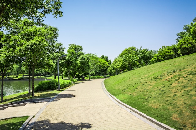 Free photo promenade in a beautiful city park