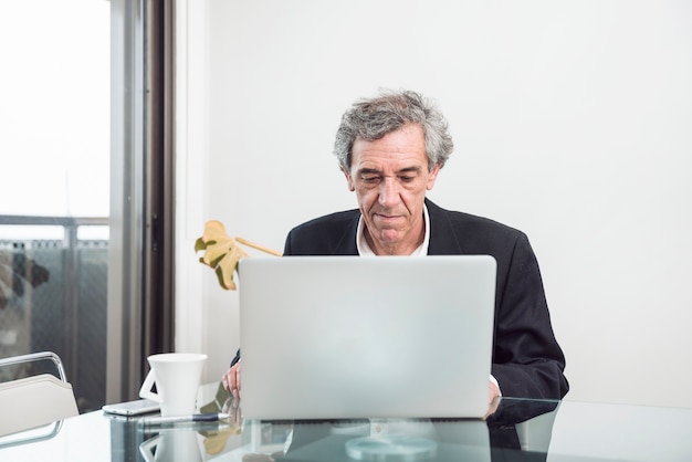 Free photo senior businessman using laptop in the office