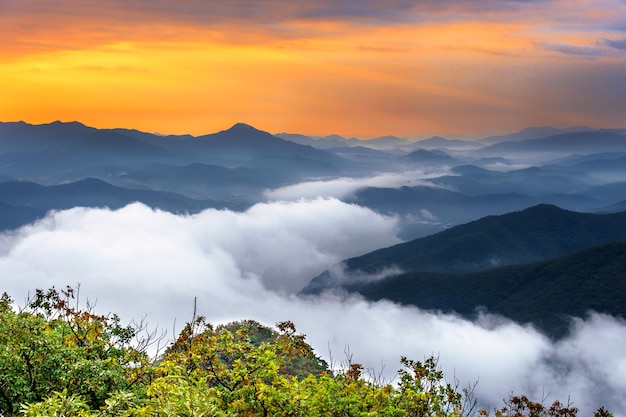 Бесплатное фото Горы сораксан покрыты утренним туманом и восходом солнца в сеуле, корея
