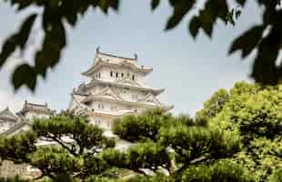 Free photo selective focus shot of the white himeji castle, himeji, japan