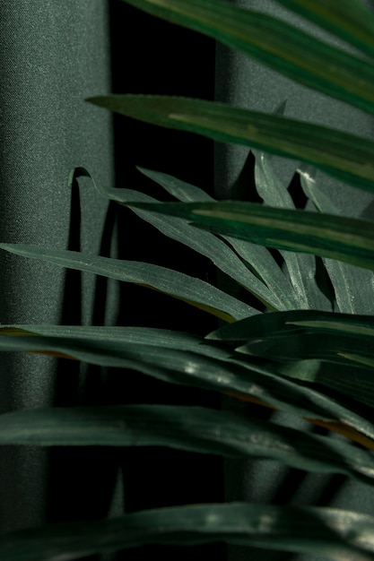 Бесплатное фото Боком заделывают листья пальмы