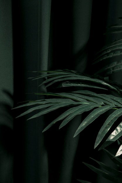 Бесплатное фото Боком листья пальмы рядом с занавеской
