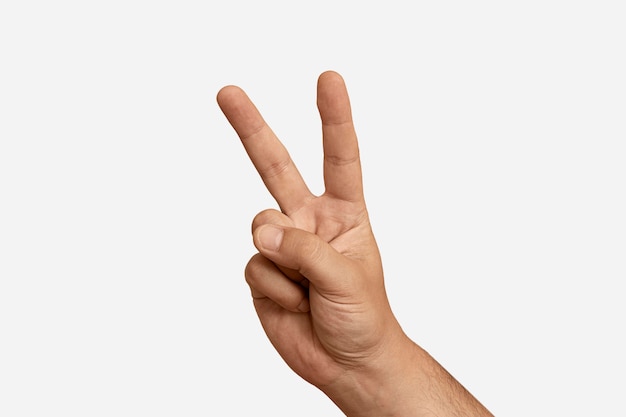 Free photo sign language hand gesture