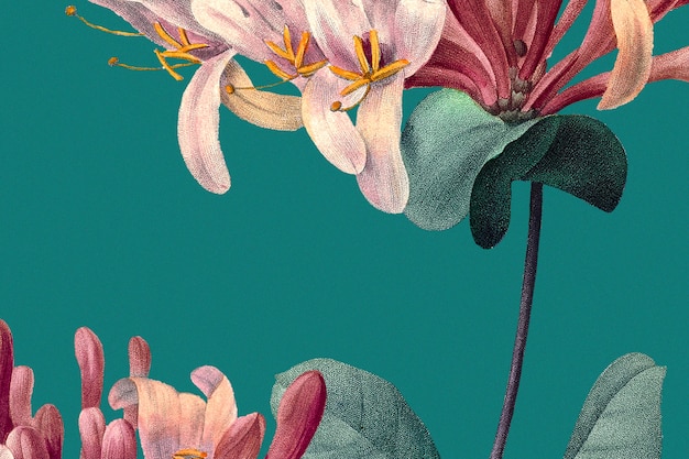 Бесплатное фото Весенний цветочный фон с иллюстрацией жимолости, переработанный из произведений искусства из общественного достояния